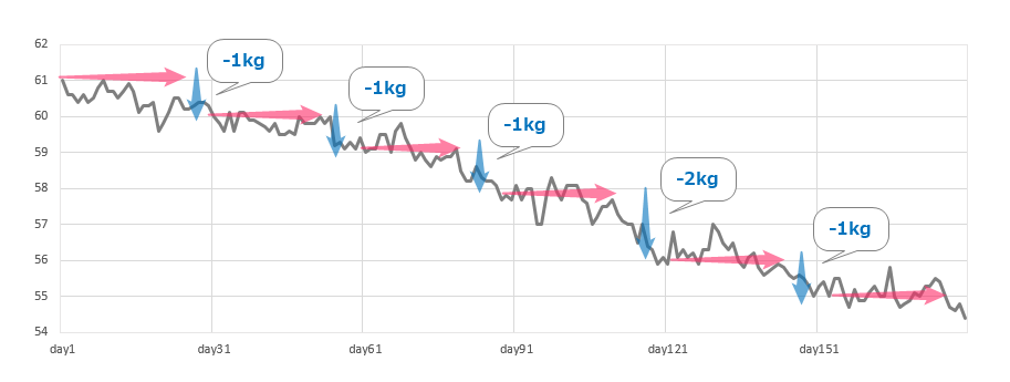 ダイエット 17kg 停滞期のグラフと私流乗り越え方を大公開 ねこまつげブログ