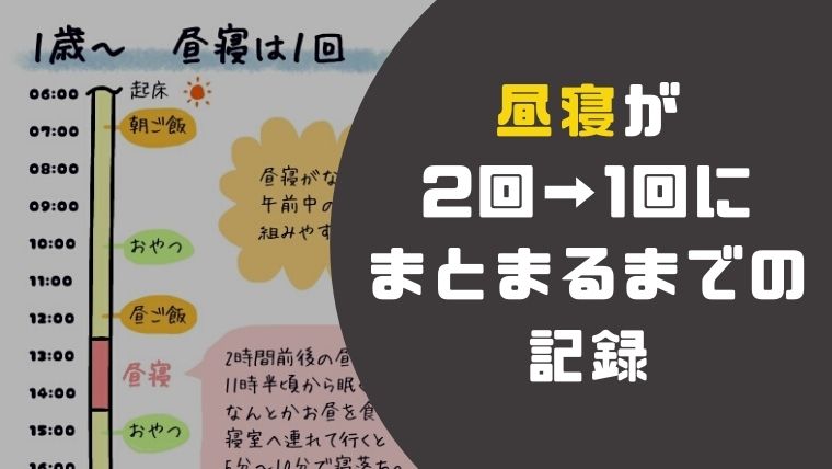 11カ月の昼寝の回数は 2回から1回になった時の記録 ねこまつげブログ